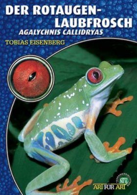 Der Rotaugenlaubfrosch