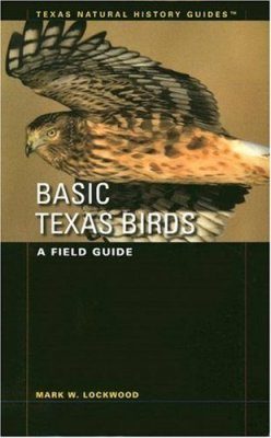 Basic Texas Birds