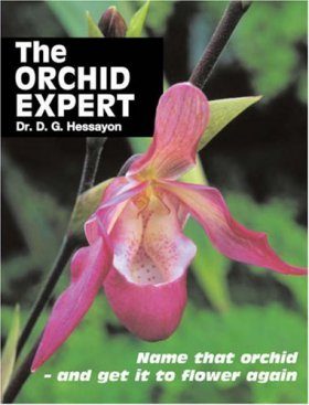 The Orchid Expert