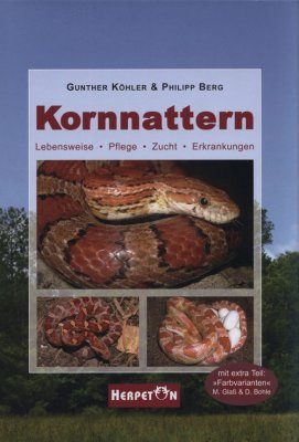 Kornnattern: Lebenweise, Pflege Zucht, Erkrankungen