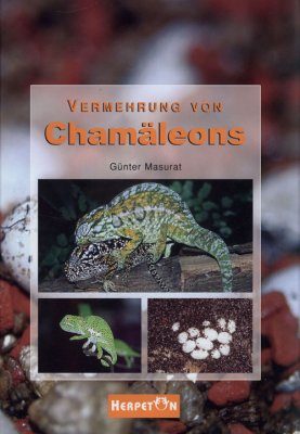 Vermehrung von Chamaeleons