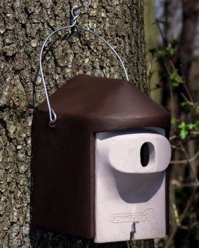 2GR Schwegler Nest Box
