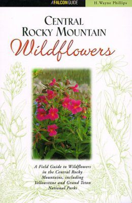 Central Rocky Mountain Wild Flowers