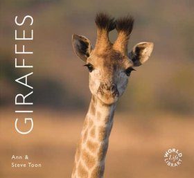 Giraffes