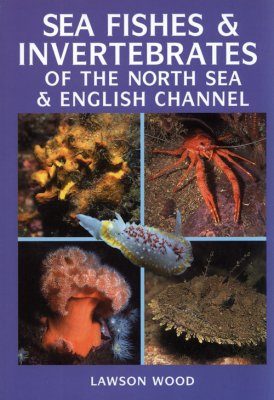 Sea Fishes and Invertebrates of the North Sea & English Channel