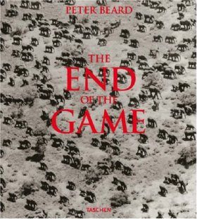 The End of the Game