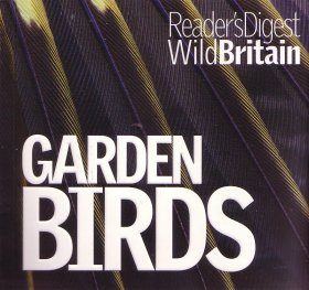 Garden Birds