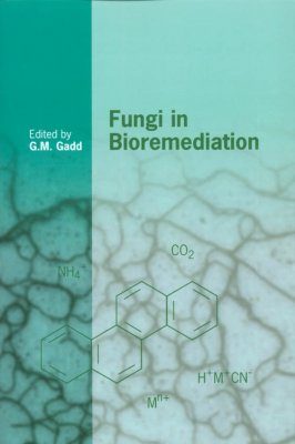 Fungi in Bioremediation