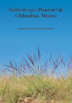 Muhlenbergia (Poaceae) de Chihuahua, México