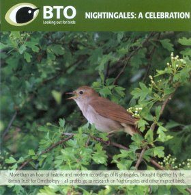 Nightingales: A Celebration