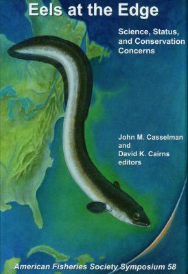 Eels at the Edge