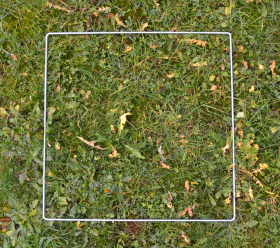 Q1 Quadrat