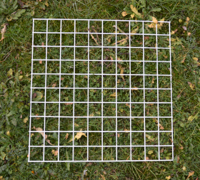 Q3 Quadrat