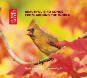 beautiful bird songs from around the world 2cd cheryl beautiful bird songs from around the world 2cd cheryl