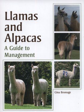 Llamas and Alpacas
