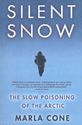 Silent Snow
