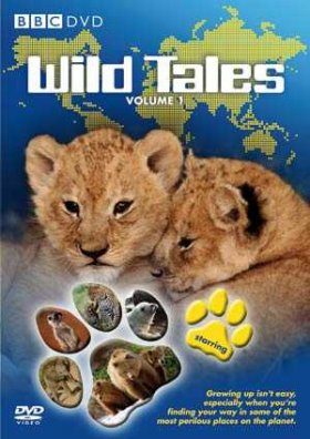 Wild Tales, Volume 1 - DVD (Region 2)