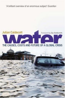 Water: The Causes, Costs and Future of a Global Crisis
