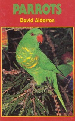 Parrots