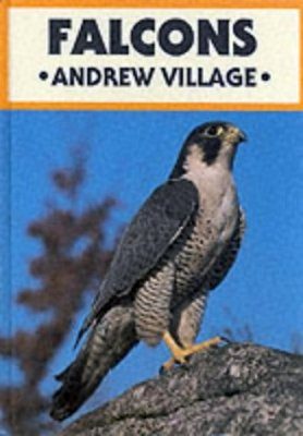 Falcons