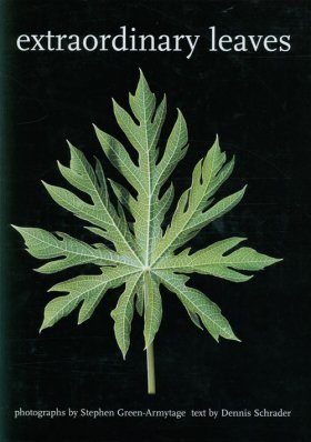 Extraordinary Leaves