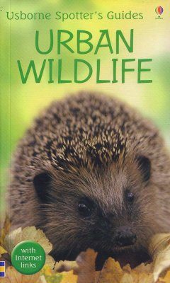 Usborne Spotter's Guide: Urban Wildlife