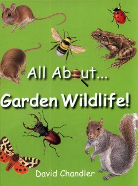 All About Garden Wildlife (Region 2 & 4)