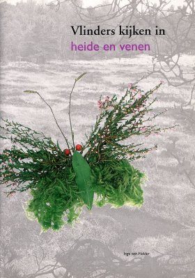 Vlinders Kijken in Heide en Venen