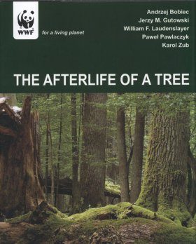 The Afterlife of a Tree