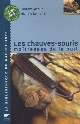 Les Chauves-souris, Maitresses de la Nuit