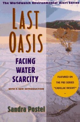 The Last Oasis