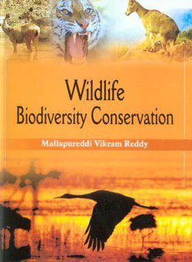 Wildlife Biodiversity Conservation
