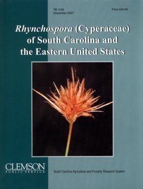 Rhynchospora (Cyperaceae) of South California and the Eastern United States