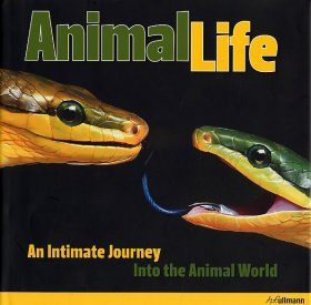 Animal Life