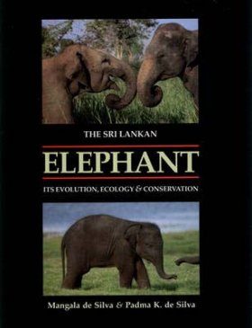 The Sri Lankan Elephant