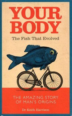Your Body