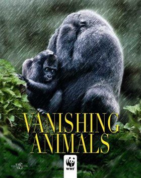 Vanishing Animals