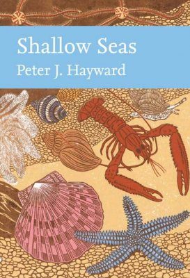 Shallow Seas of Northwest Europe