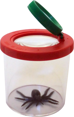 Bug Viewer