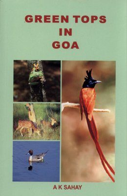 Green Tops in Goa