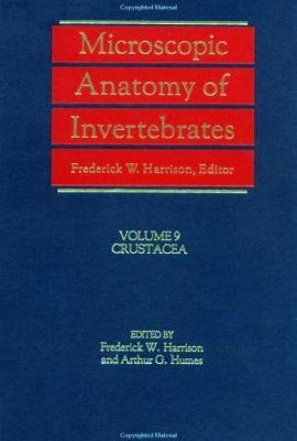 Microscopic Anatomy of Invertebrates, Volume 9