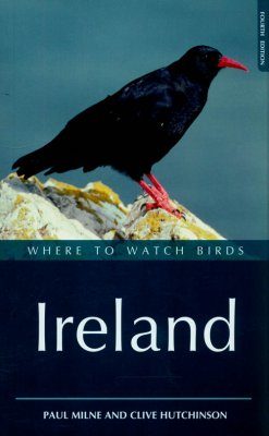 Where to Watch Birds in Ireland