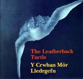 The Leatherback Turtle / Y Crwban Mor Lledrgefn