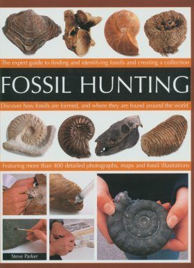 Fossil Hunting