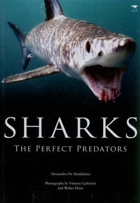 Sharks: The Perfect Predators