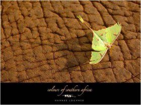Colours of Southern Africa