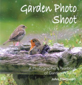 Garden Photo Shoot