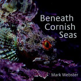 Beneath Cornish Seas
