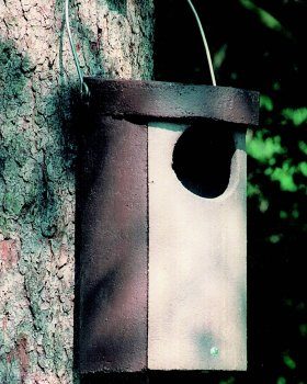 No. 5 Schwegler Owl Box