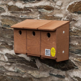 Sparrow Terrace Nest Box
